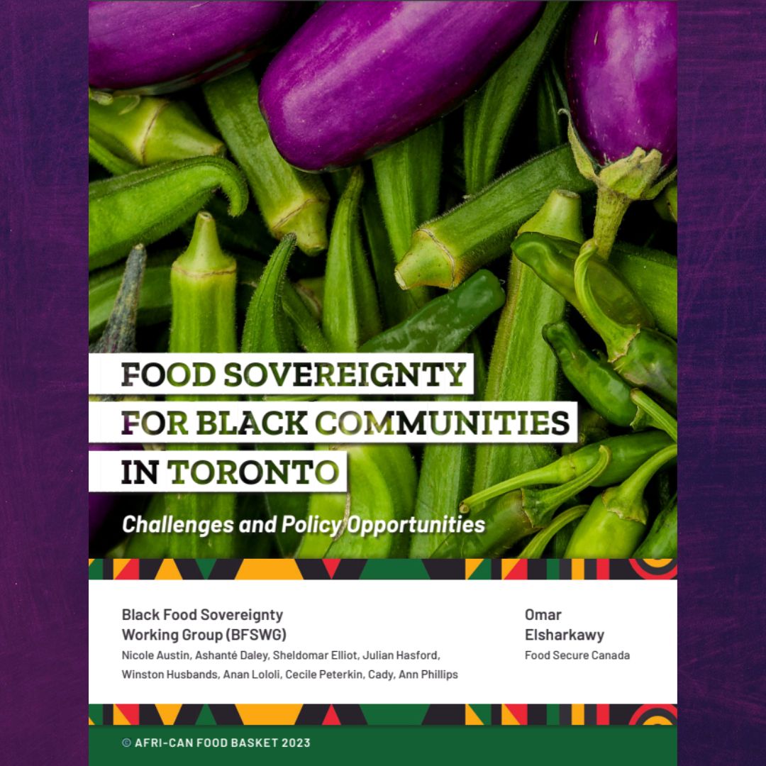 Food Sovereignty For Black Communities in Toronto. Challenges and Opportunities. AFRI-CAN FOOD BASKET 2023